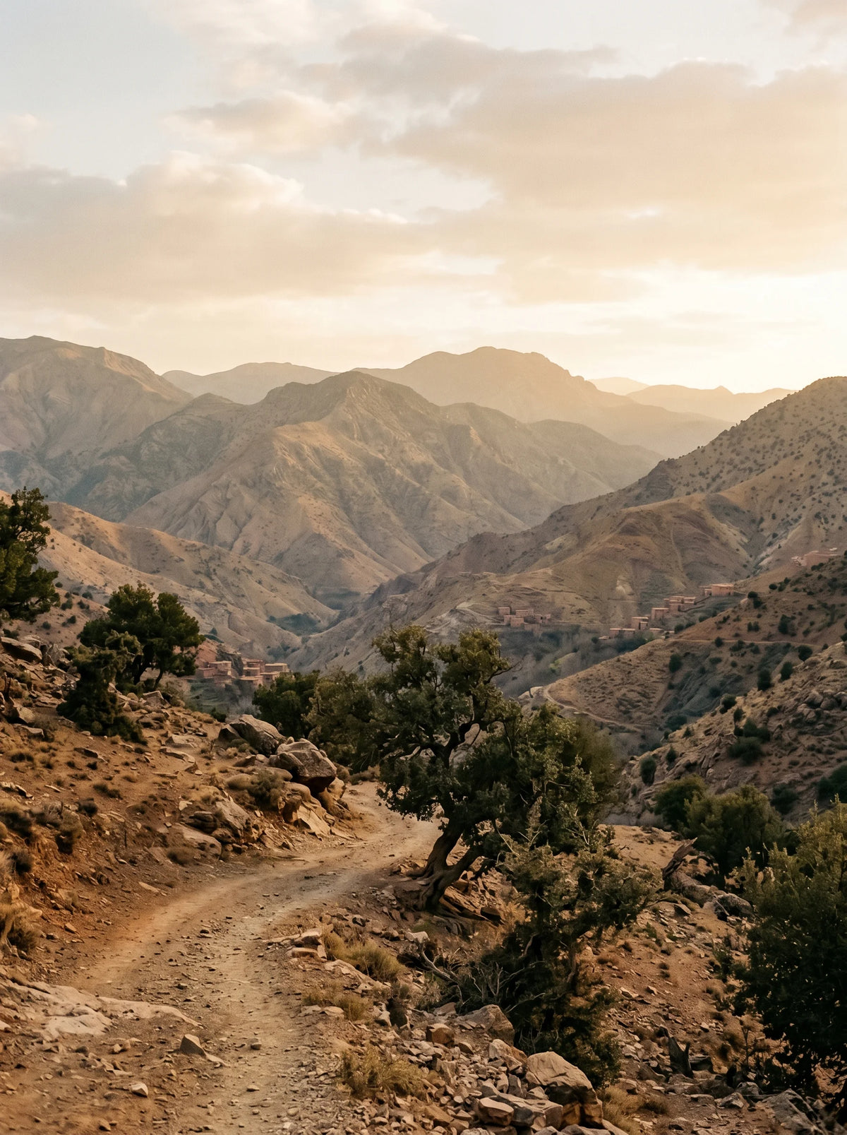A beauty born of the mountains.